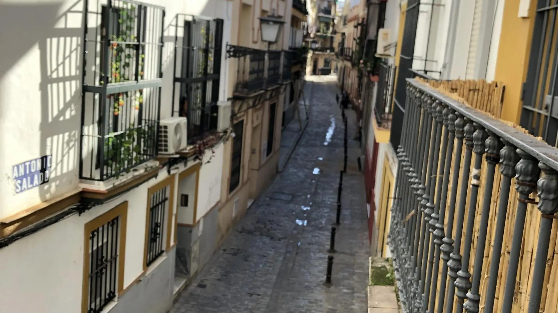 公寓 Apartamentos Alfaqueque B 塞维利亚
